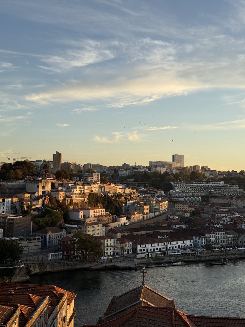 Porto rooftops above the Douro at golden hour