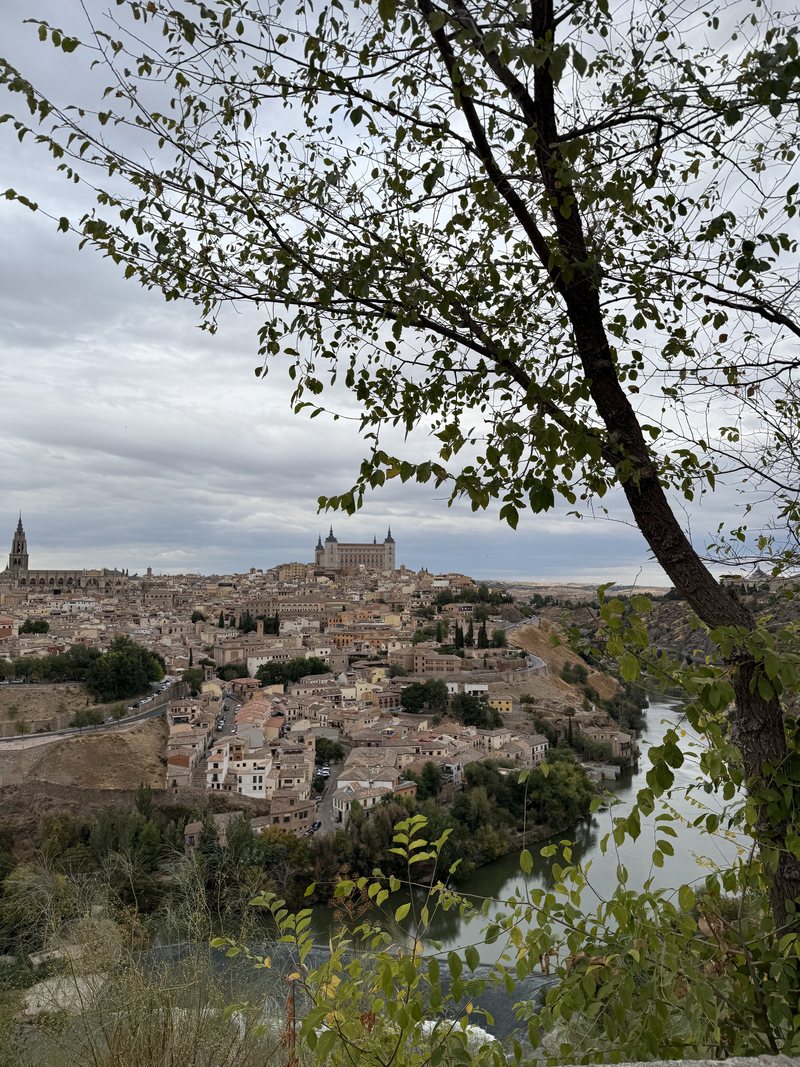 Toledo's skyline above the Tagus seen through a tree